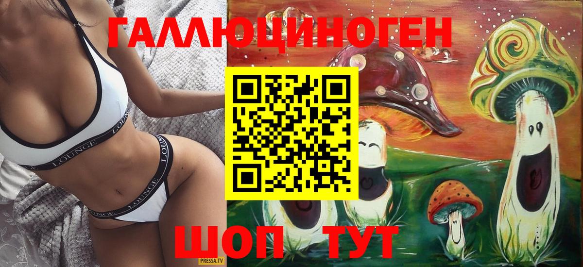 Галлюциногенные грибы Cubensis  Вход с VPN  Курганинск  Псилоцибиновые грибы Cubensis 